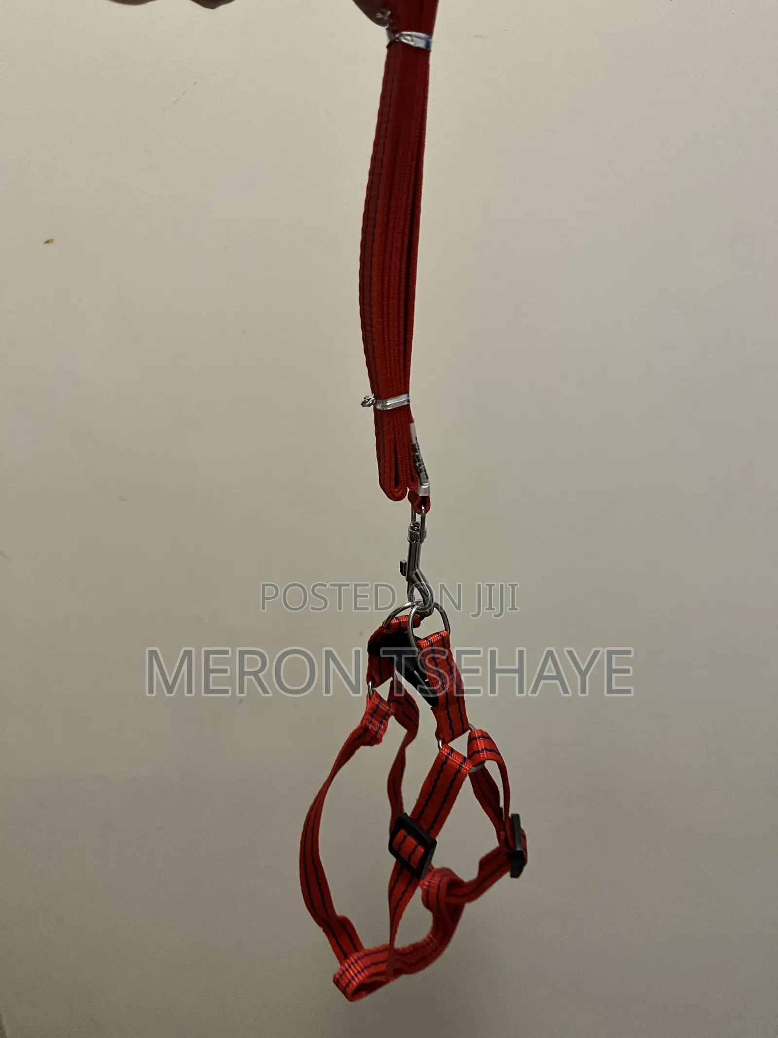 Dogs Harness