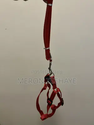 Dogs Harness