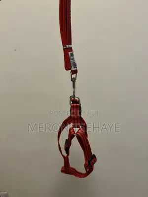 Dogs Harness