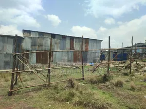 90ካሬ ቦታ(መሬት)