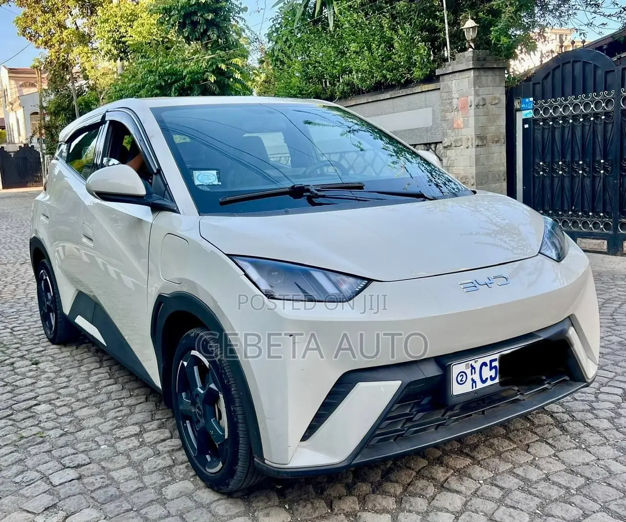 BYD Seagull 2024