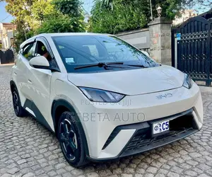BYD Seagull 2024