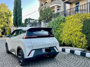 BYD Seagull 2024