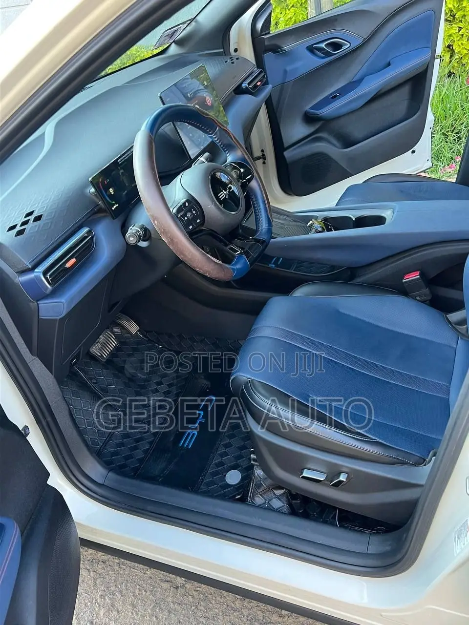 BYD Seagull 2024