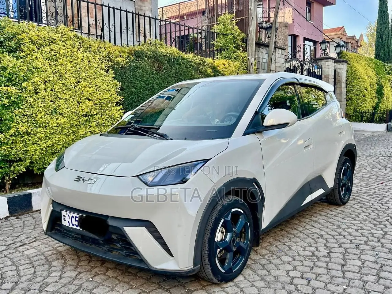 BYD Seagull 2024