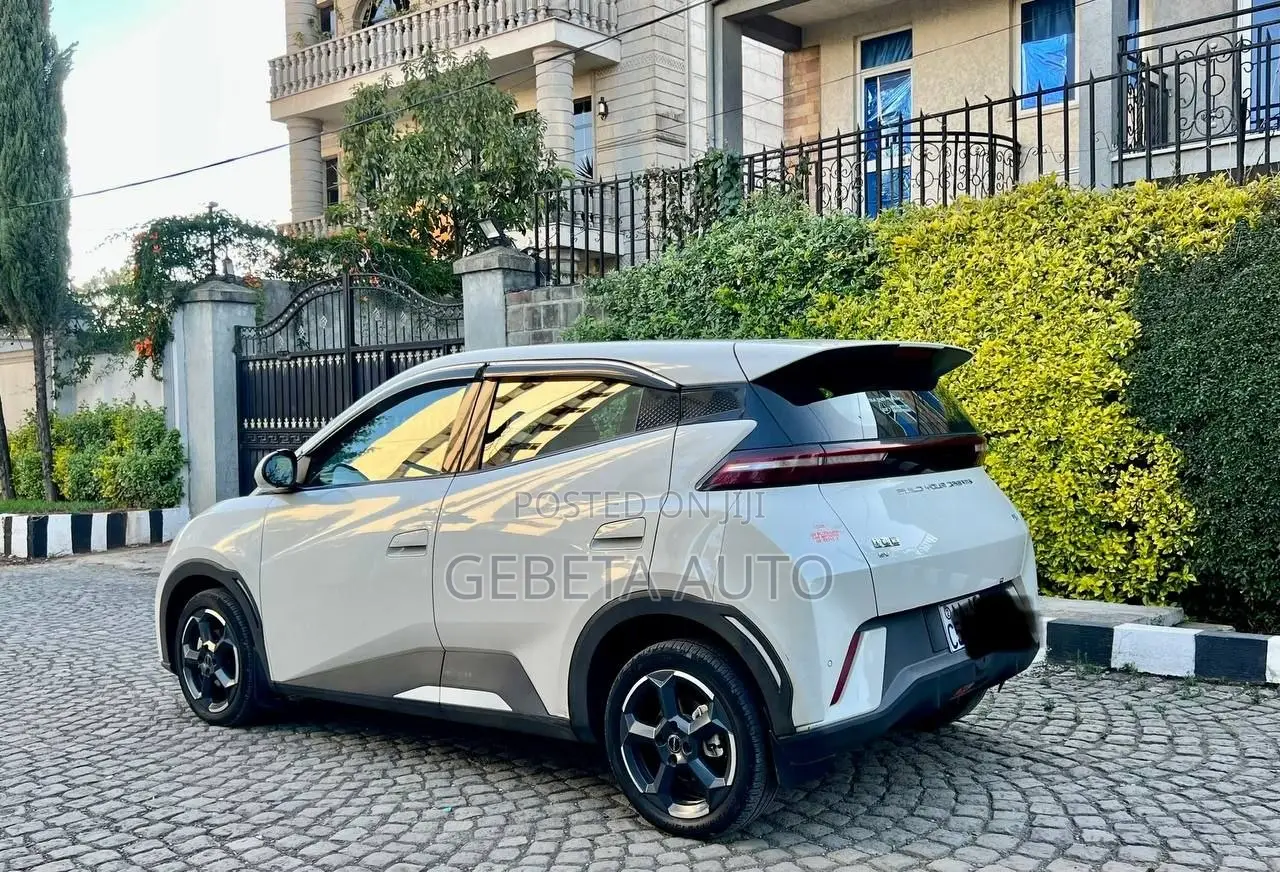 BYD Seagull 2024