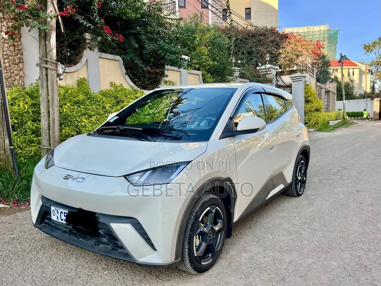 BYD Seagull 2024