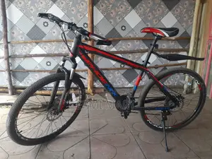 Phoenix Mountain Bike