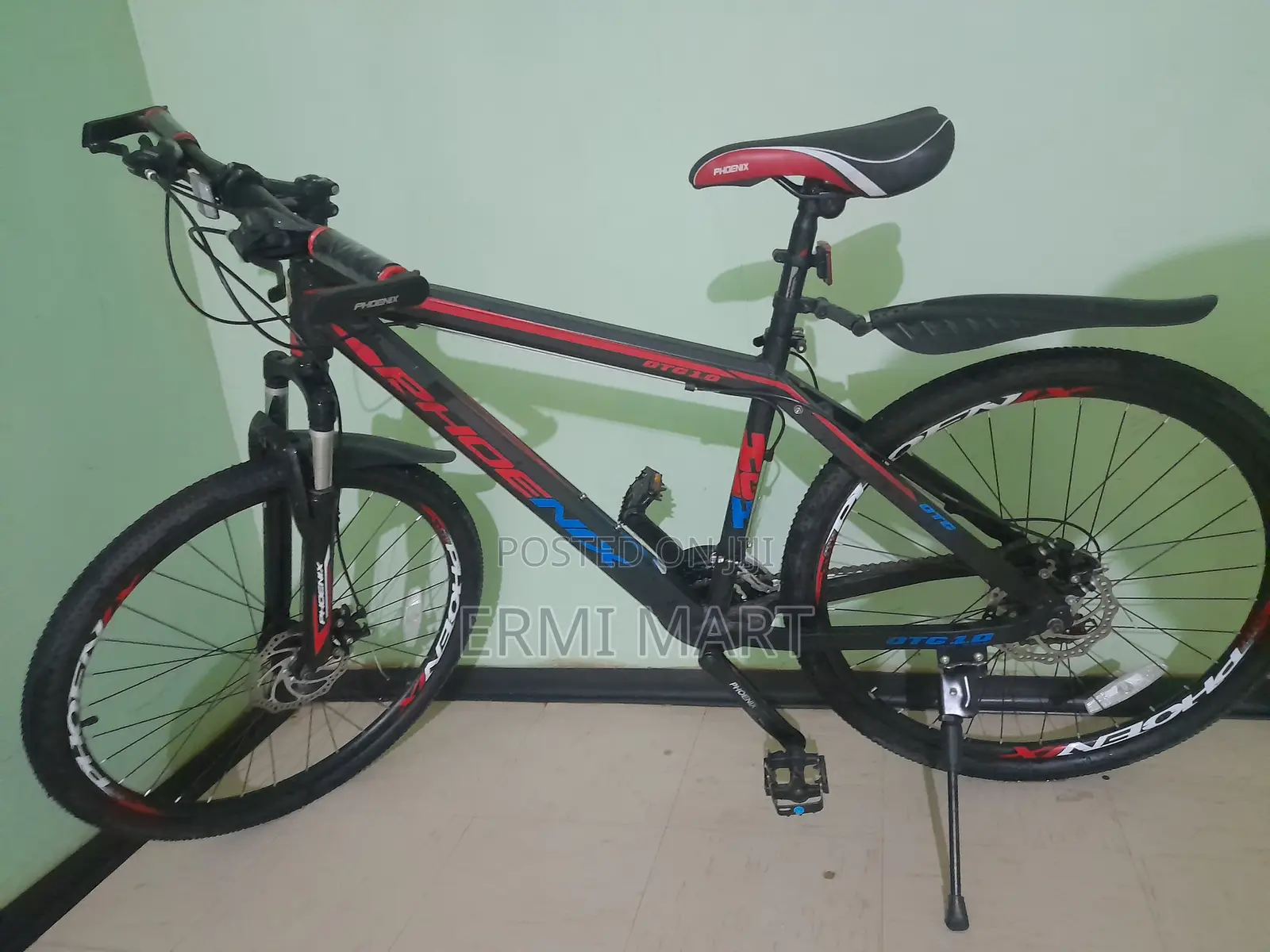 Phoenix Mountain Bike