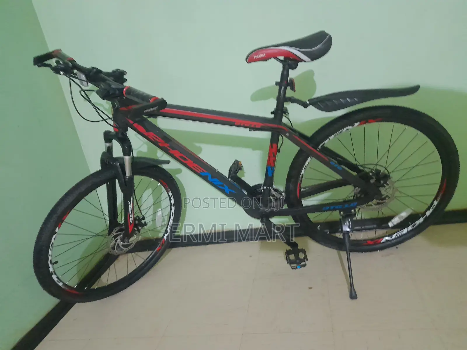 Phoenix Mountain Bike