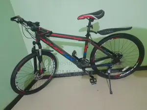 Phoenix Mountain Bike