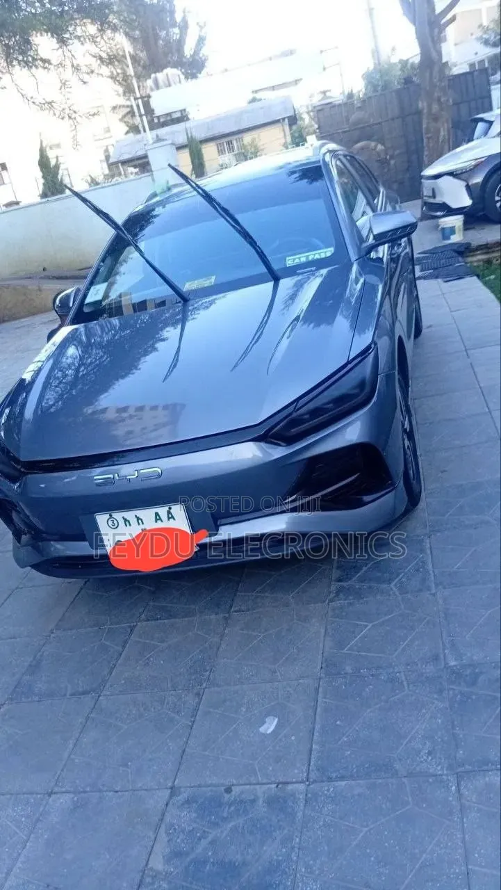 BYD E2 43 kWh 94 hp FWD 2025 Silver