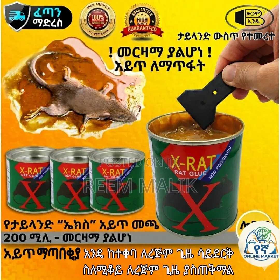 አይጥ ማጣበቂያ RatGlue