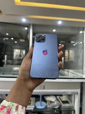New Apple iPhone 12 Pro Max 256 GB Silver