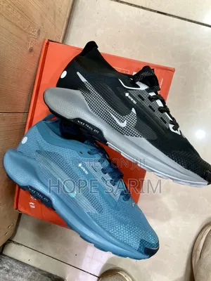 Nike Pegasus Trail 5 Gore-Tex