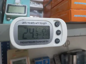 Fridge Thermometer