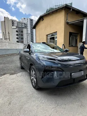 BYD Tang EV 2025 Gray