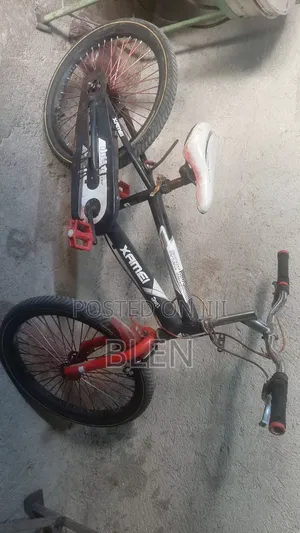 Used Bicycle