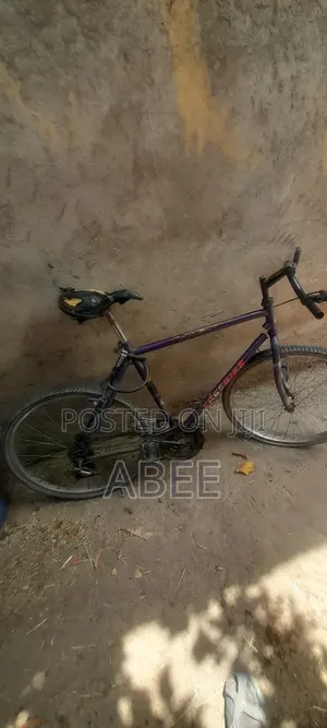 Purple Mountain Bike - Reliable Condition