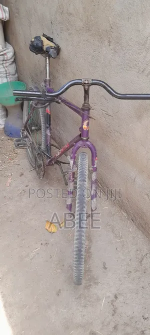 Purple Mountain Bike - Reliable Condition