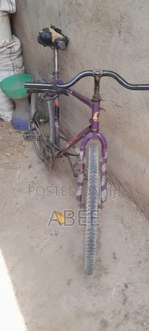 Purple Mountain Bike - Reliable Condition