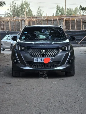 Peugeot 2008 2022 Gray