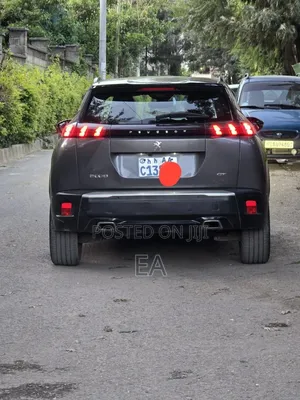 Peugeot 2008 2022 Gray