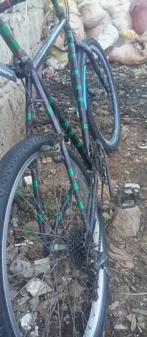 Bicycle Sports