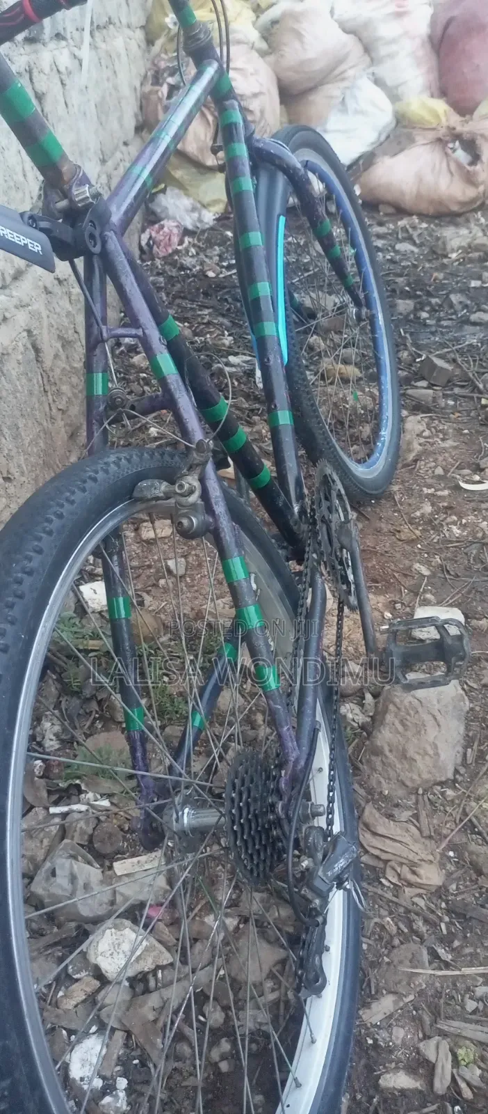 Bicycle Sports