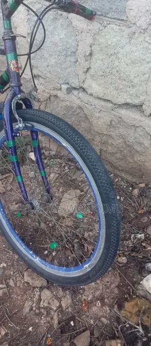 Bicycle Sports