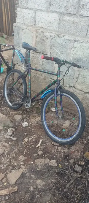 Bicycle Sports