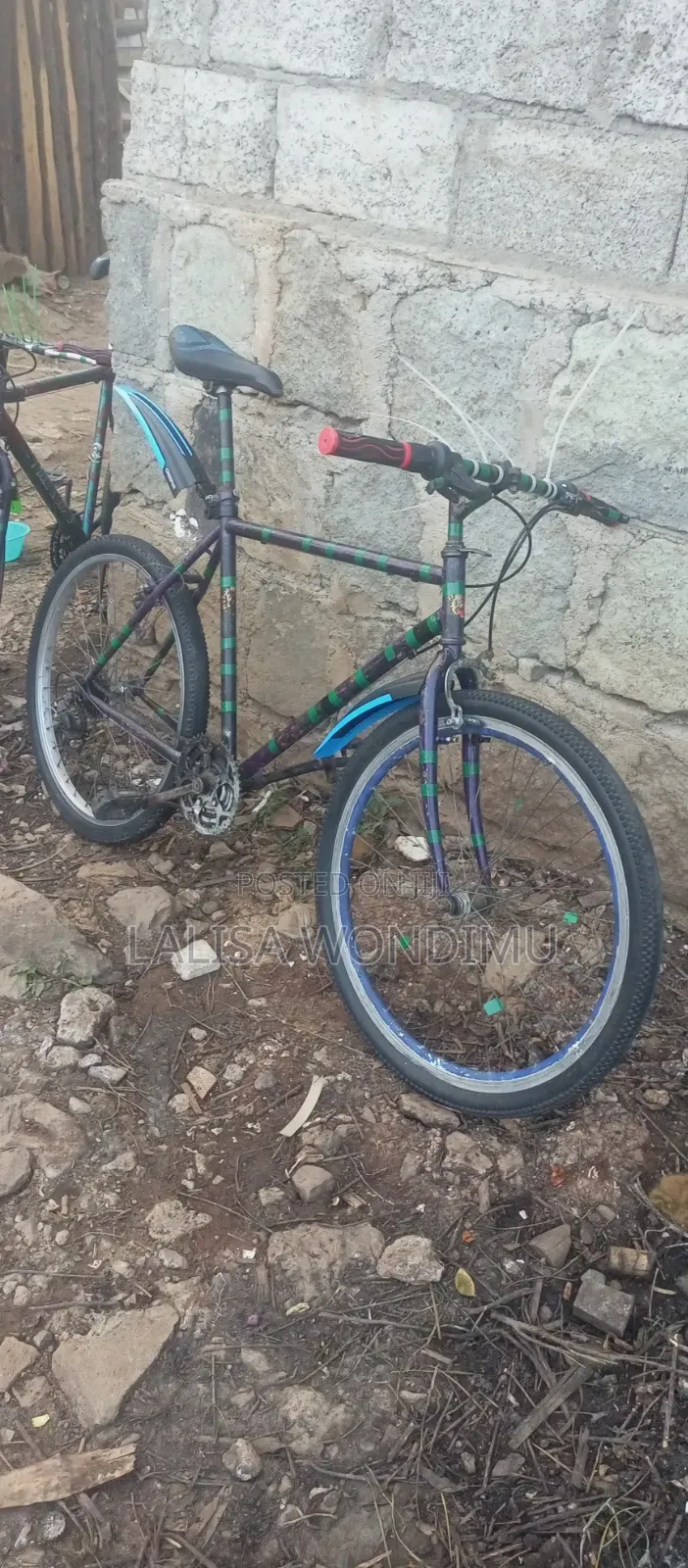 Bicycle Sports