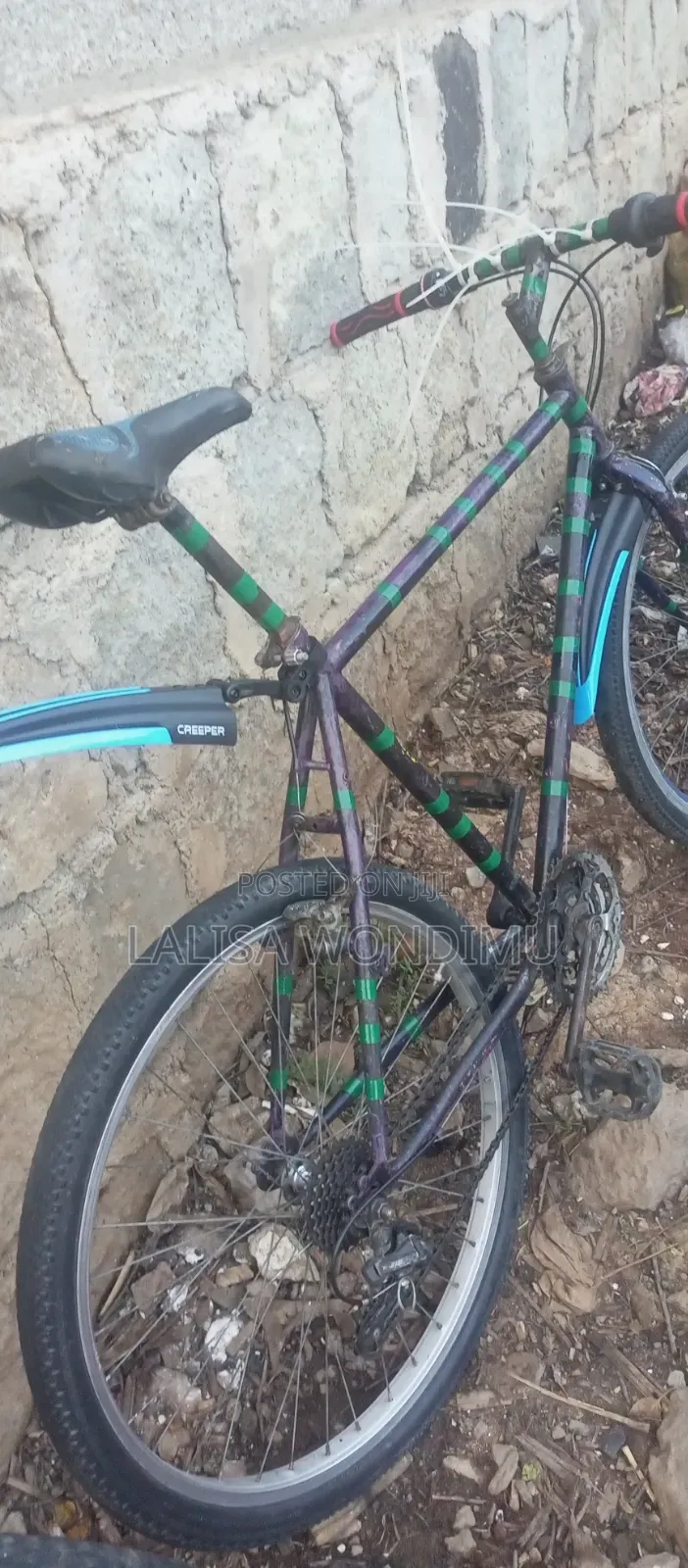 Bicycle Sports