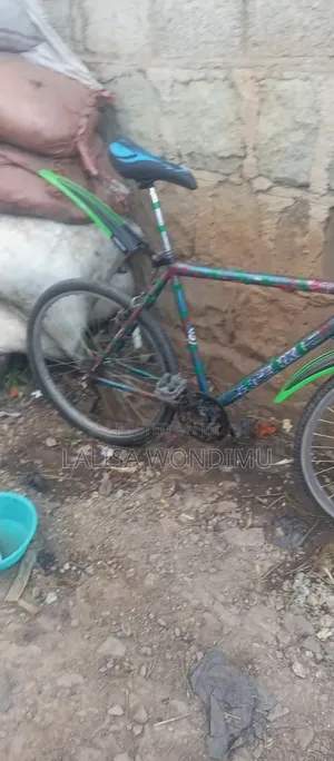 Bicycle Spo