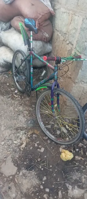 Bicycle Spo