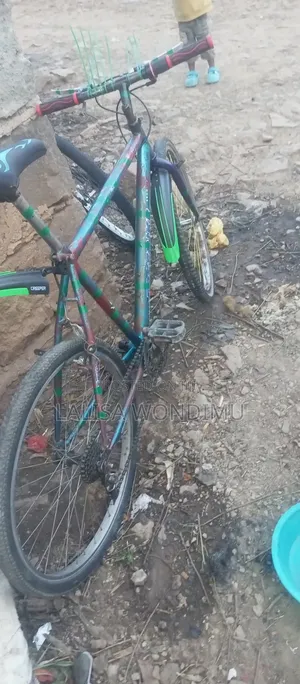 Bicycle Spo