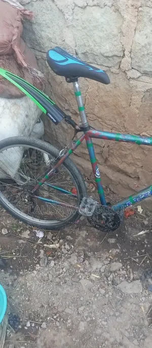 Bicycle Spo