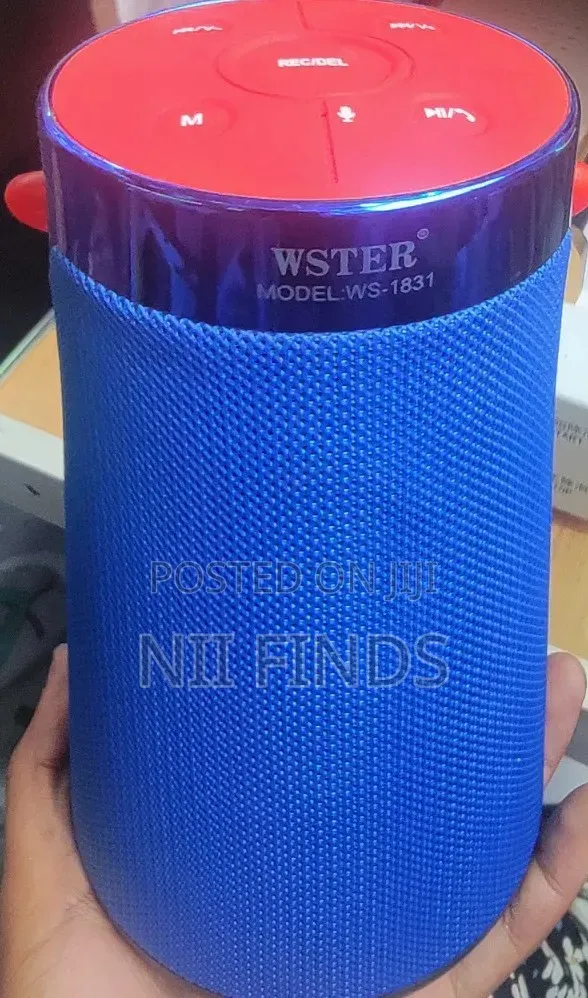 Wster Ws-1831 Portable Wireless Bluetooth Speaker – High Quality Sound