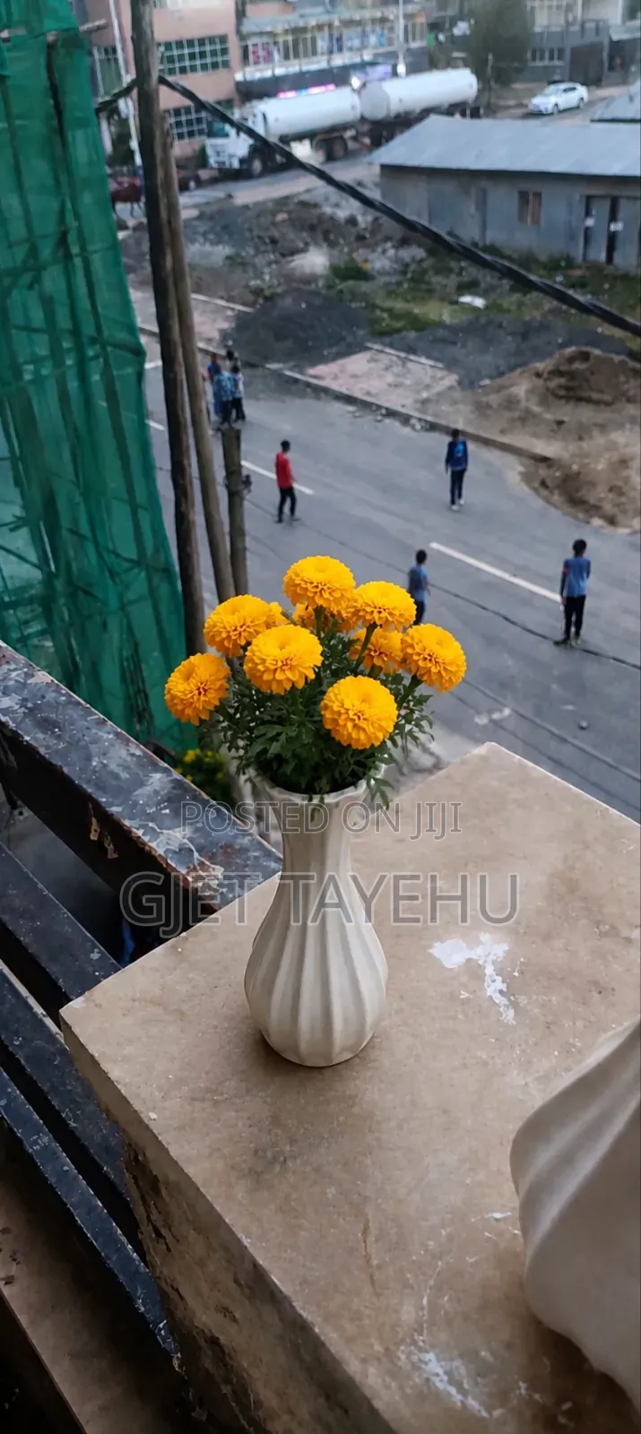 Flower Pot