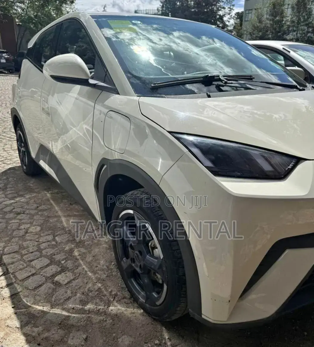 Byd Segull Rent