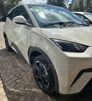 Byd Segull Rent