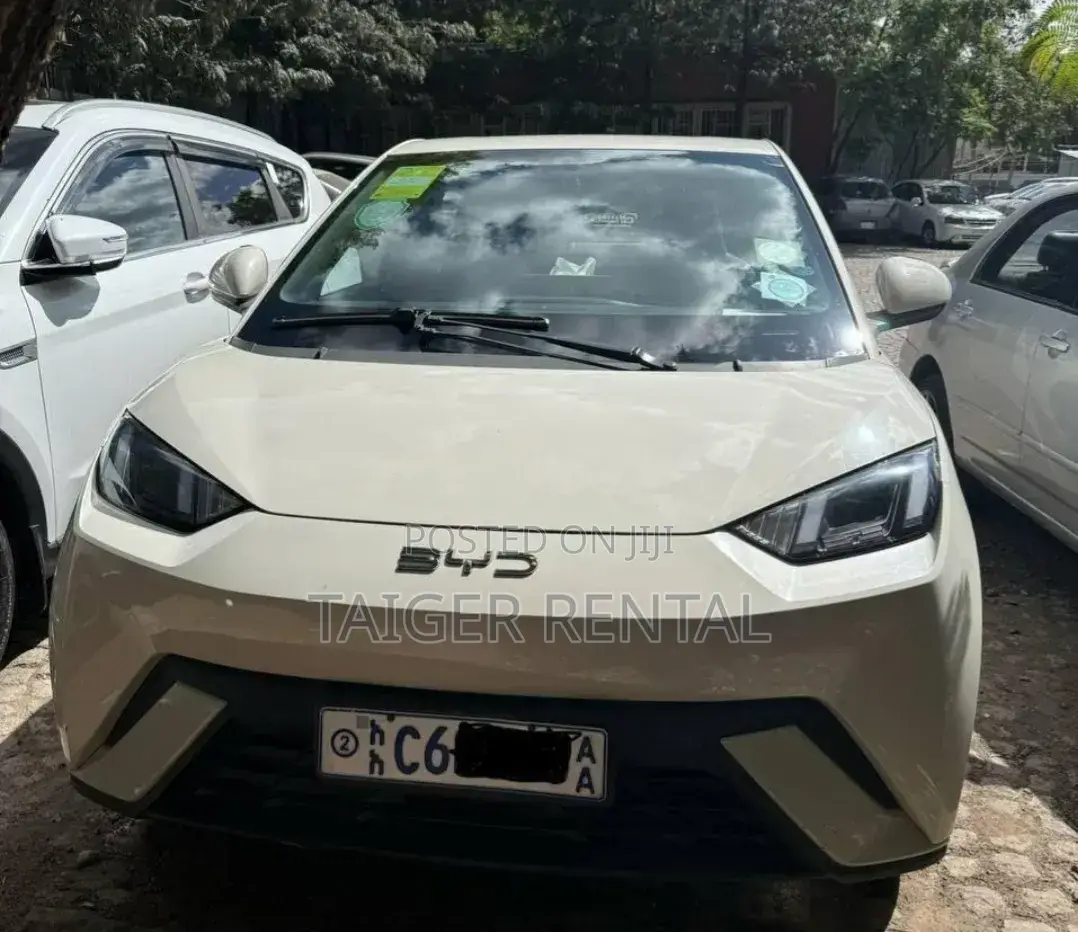 Byd Segull Rent