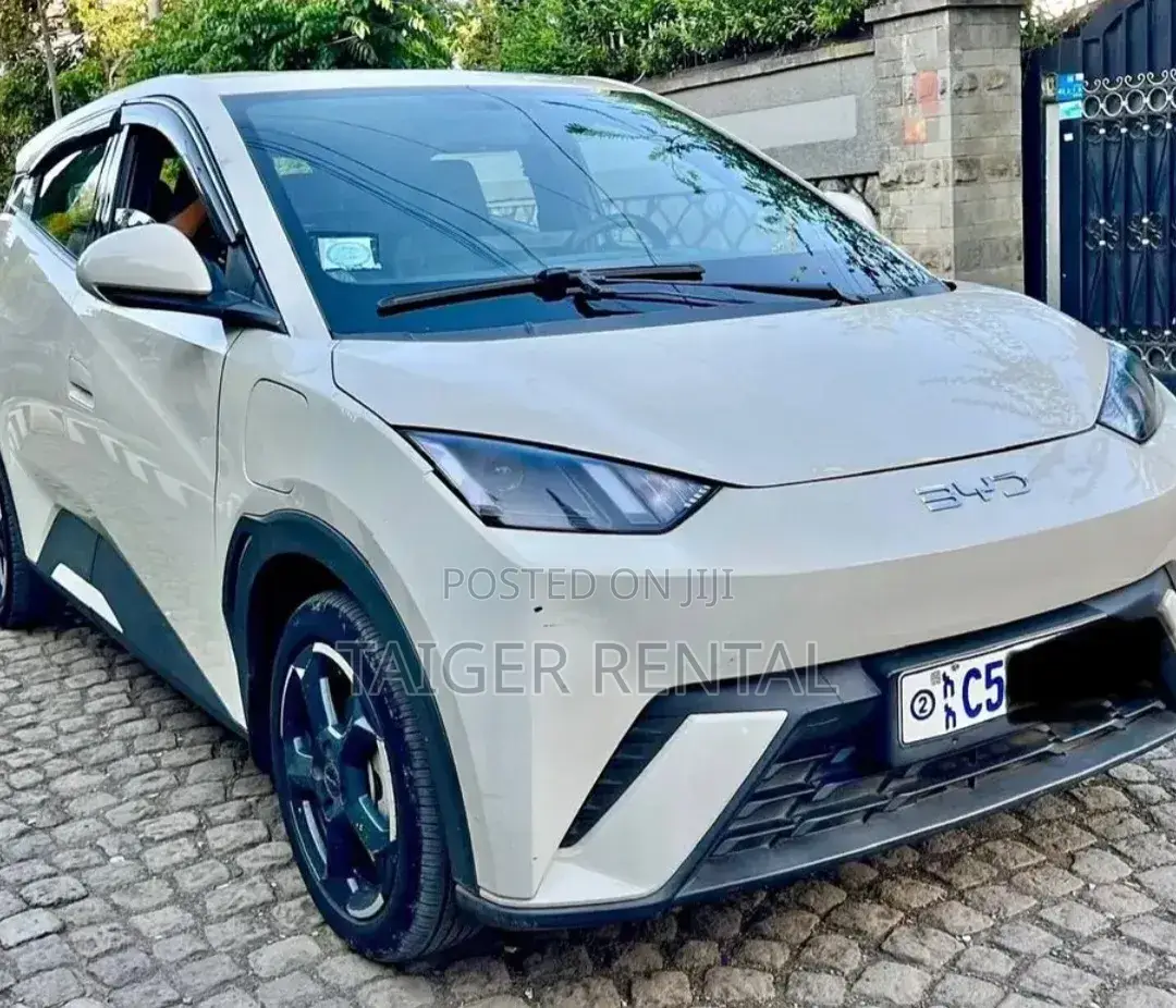 Byd Segull Rent