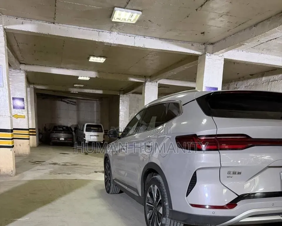 BYD Song Plus 2025 Beige