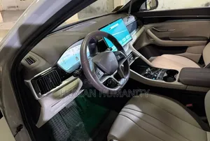 BYD Song Plus 2025 Beige