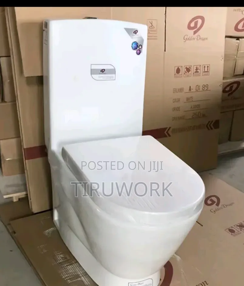 ጎልድራገን ሸንት ቤት እና እጆ መታጠቢያ