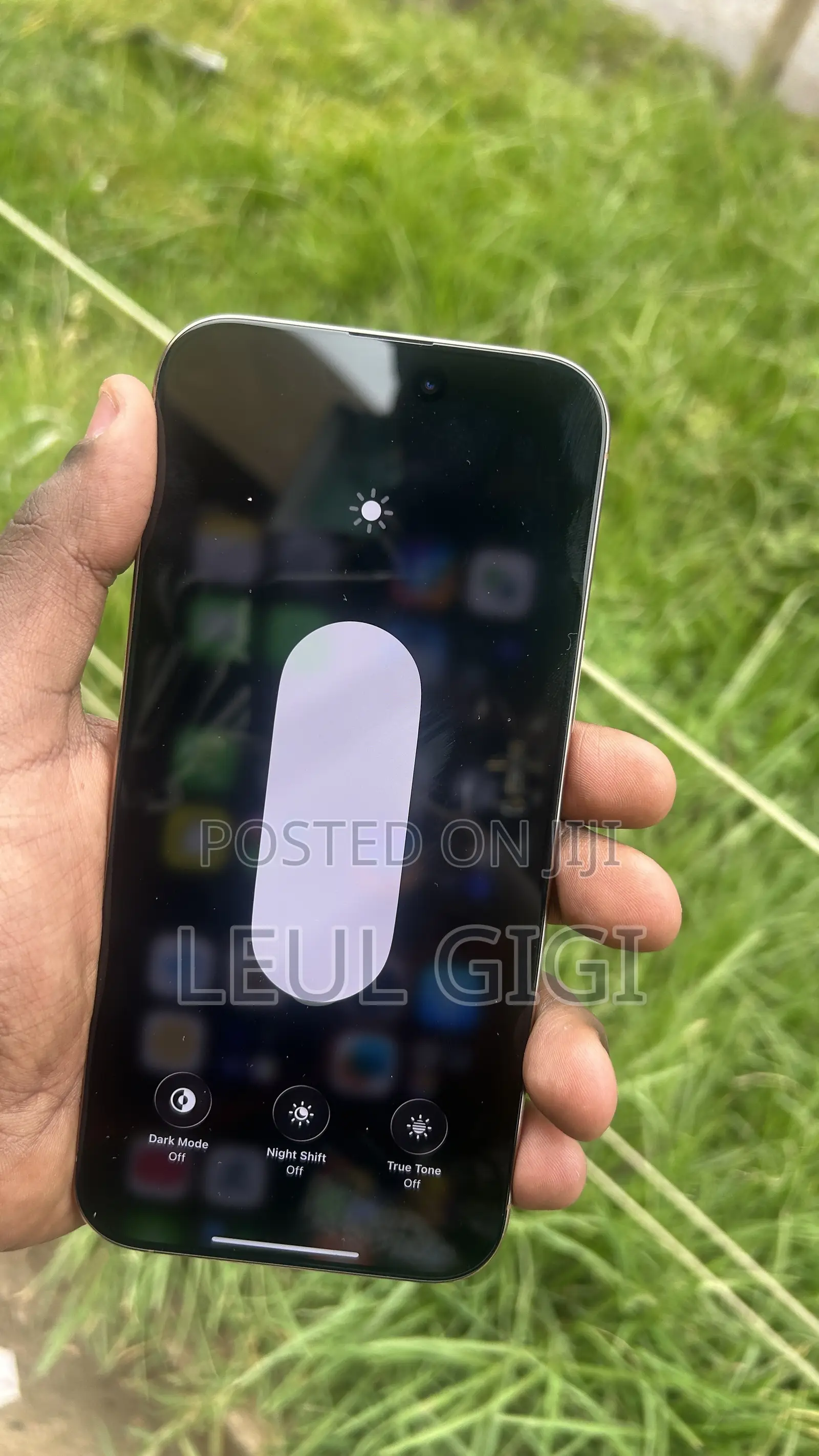 Apple iPhone 16 Pro Max 256 GB
