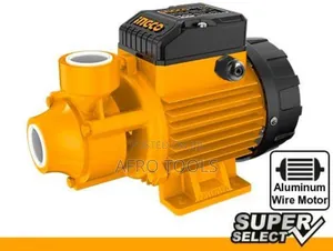 Ingco Centrifugal Pump