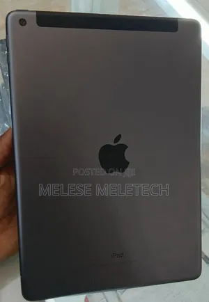 New Apple iPad 10.2 (2020) 256 GB Gray