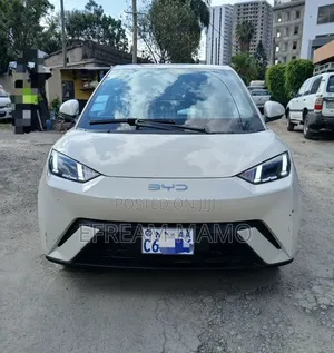 BYD Seagull 2025